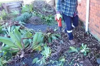 Man removing garden plants in Parkvale