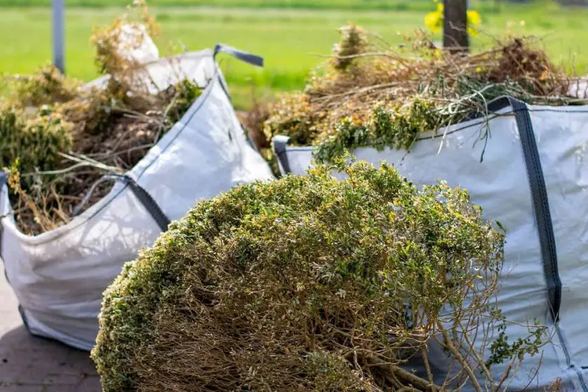 Green waste in bags in Tauranga