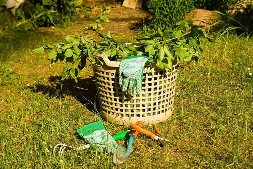 garden clippings in basket in Tauranga