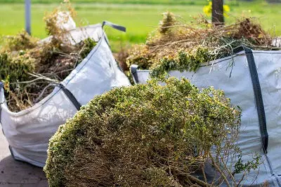 shrubs in bags in Tauranga south