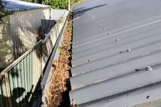 roof guttering full of leaves at Parkvale