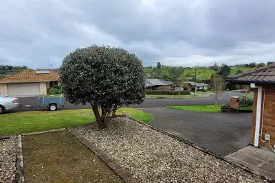 trimmed hedge at Otūmoetai; Matua