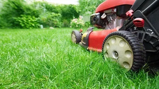 Red lawn mower on grass in Tauranga