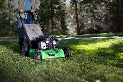 Green lawn mower cutting grass in Tauranga