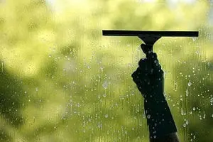 Squeegee cleaning window glass in Tauranga