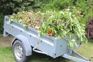 Shrubs in bags for removal at Otūmoetai; Matua